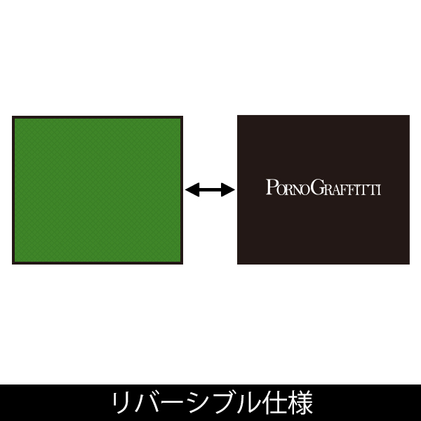 送料無料・早い者勝ち！ ポルノグラフィティ ポルノグラフィティ 未