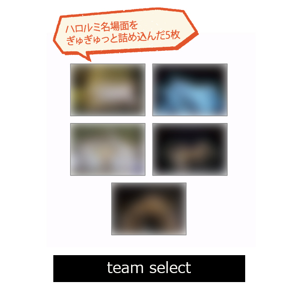 ハロルミ Photo pack / team select (5枚セット)