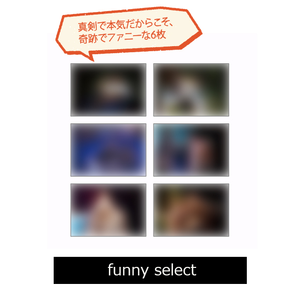 ハロルミ Photo pack / funny select (6枚セット)