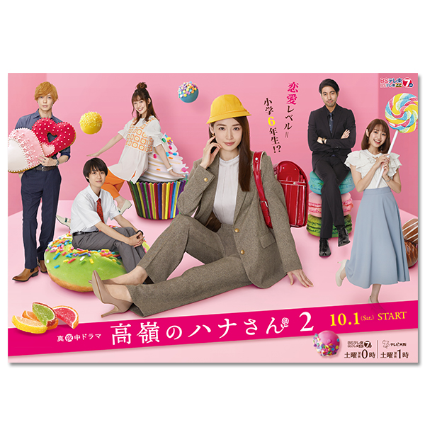 「高嶺のハナさん2 DVD-BOX」