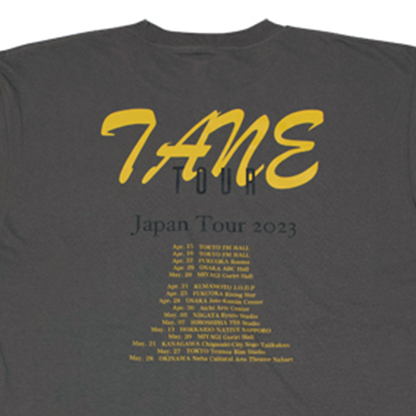 Tour T-shirts / Charcoal